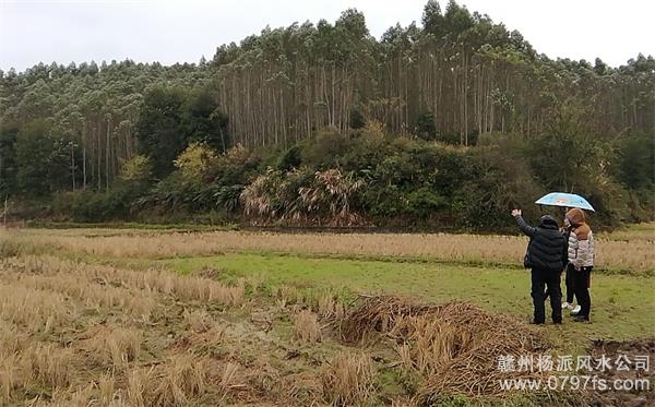 娄底市陈老师带着爱徒寻龙点穴